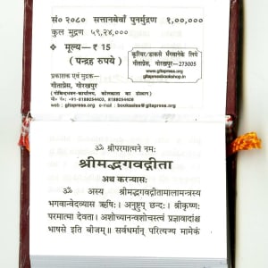 Bhagavad Gita. Miniature 