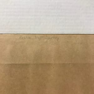 Kali, Mother of the Four Great Gods: Indra, Brahma, Vishnu, and Shiva by  Kailash  Raj 