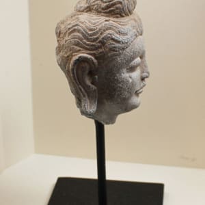 Buddha Head, Gandhara 