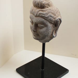 Buddha Head, Gandhara 