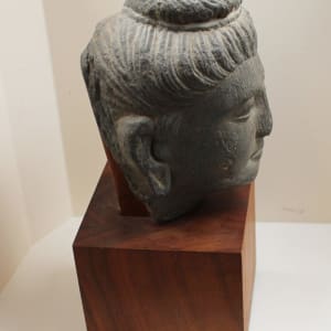 Buddha Head, Gandhara 