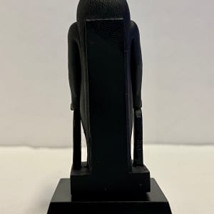 Taweret Model 