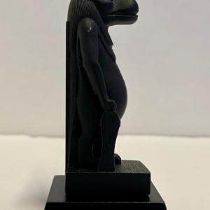 Taweret Model 