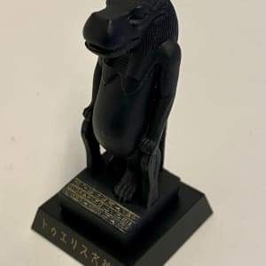 Taweret Model 