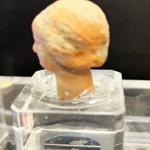 Head, Aphrodite