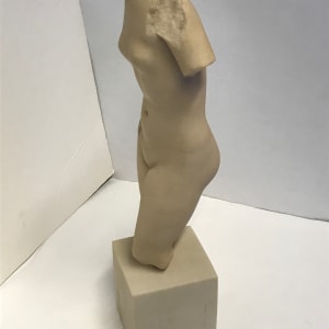 Venus Torso, Image 4.