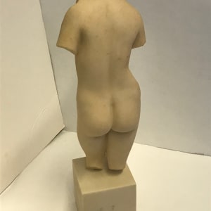 Venus Torso, Image 3.
