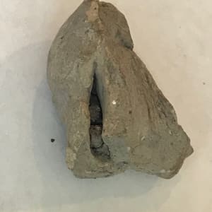 Head of a Bearded Man