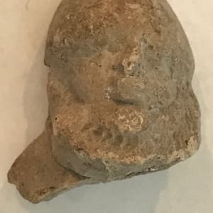 Head of a Bearded Man