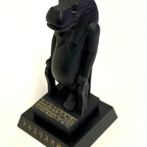 Taweret Model 