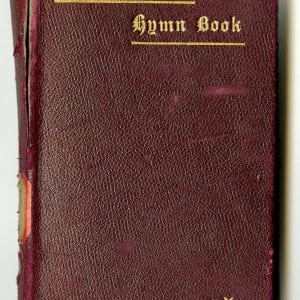 The Sunday school hymn book: with musical index 
