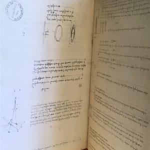 The Treasures of Leonardo da Vinci 