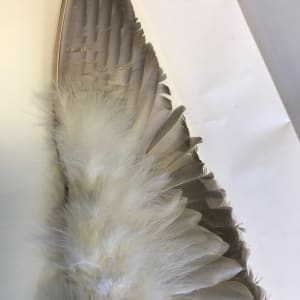 Prayer Fan 