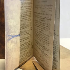 The Treasures of Leonardo da Vinci 