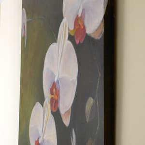Dancing Orchids by Madeleine Kelly 