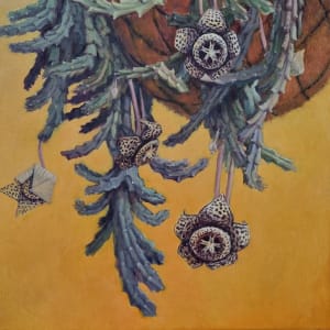 Starfish Cactus by Miranda Free 