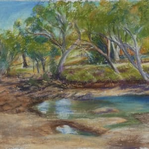 219 Mary Pool by Miranda Free 