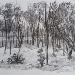 Bush Landscape Nillububbica by Miranda Free 