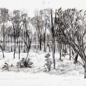 Bush Landscape Nillububbica by Miranda Free 