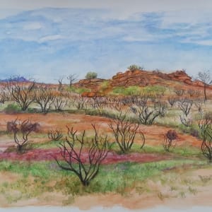 236 Colours of the Pilbara by Miranda Free 