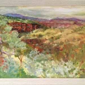 Gorge Country, Pilbara by Miranda Free 