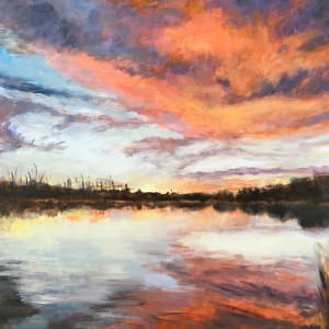 Fire in the Sky by Miranda Free