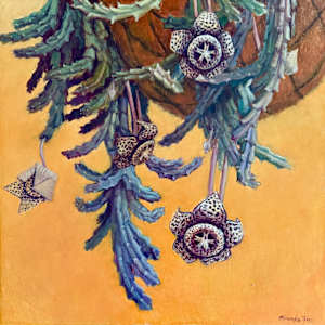 Starfish Cactus by Miranda Free, Image 3.