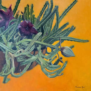 Stapelia grandiflora by Miranda Free, Image 2.