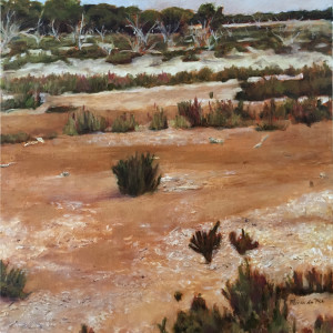 Salt Marshes by Miranda Free