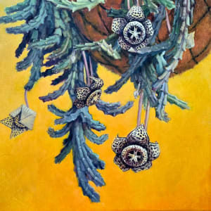 Starfish Cactus by Miranda Free