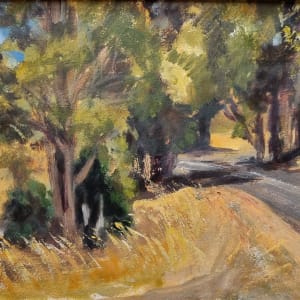 Thirty km to Nannup by Miranda Free 