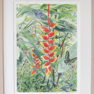 Heliconia and Butterflies by Miranda Free 