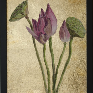 Lotus Dreaming by Miranda Free 