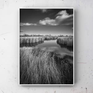 Solace by Angshuman Sarkar 