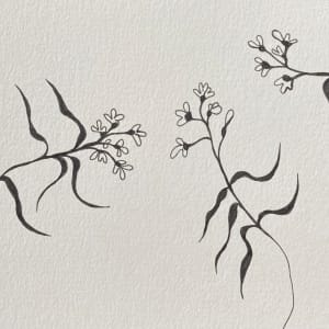 27th Ave Memoriae Botanicum #6239 (Collection #5) by A-M Petersons