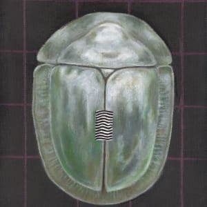 Insect #8 (F7) by Tabitha Abbott 