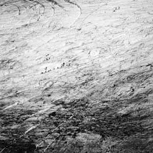 Coleman Mountaineers by Ari Madian