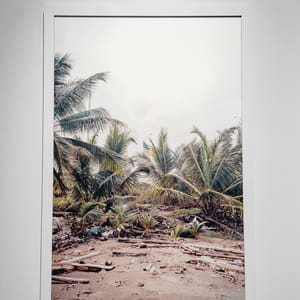 Battle for Paradise I by Jo Cosme 