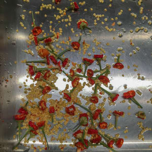 Hot Peppers by Maylee Noah