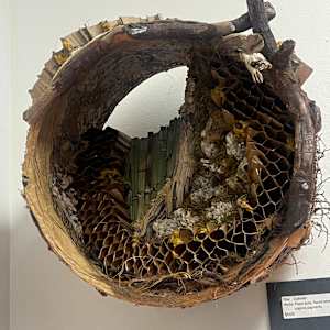 Cylinder by Kathy Bussert-Webb, Image 1.