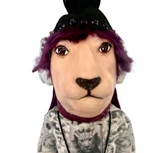 Time Traveler Fourteen by Dorothy Anderson Wasserman 