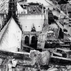 Because the World is Round  (framed) by Dorothy Anderson Wasserman 