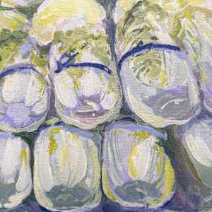 Chinese Cabbage by Thoa Nguyen