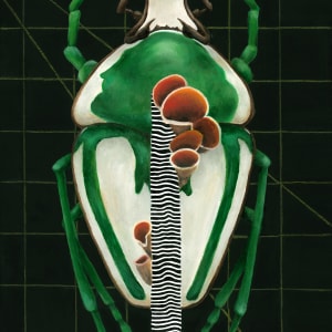 Insect #4 by Tabitha Abbott