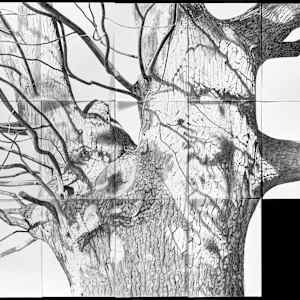 Verulam III by Donna Leavitt