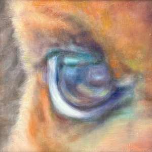 Ox Eye by Lin-Lin Mao Mollitor
