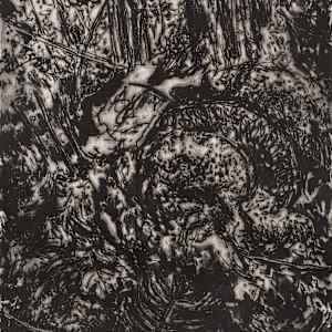 Density by Sheila Sondik