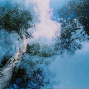 To Glory in the Last Breath of Time, Without Sadness by Nathan Vass