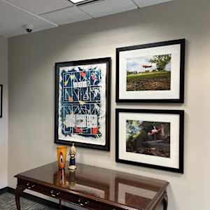 Flight! by Valerie Dibble  Image: Public Defender's Office