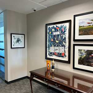 Approximate Altitude 8.4 Inches, Inches Above Earth Series (White and Red Plane over Leaves) by Michael Reese  Image: Public Defender's Office